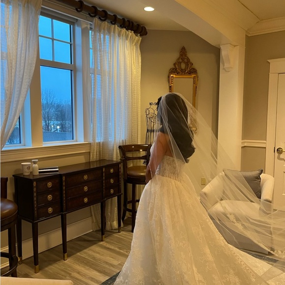 Elegant Ivory Wedding Dress - Picture 4 of 4